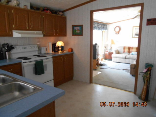 5933 East Trail Ridge Road Fountain, MI 49410 - Photo 5 of 42 004