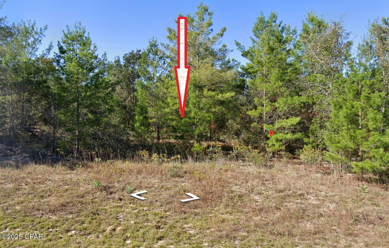 0 Angora Drive Chipley, FL 32428 - Photo 6 of 7