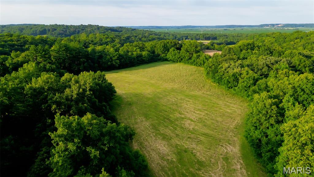 575 Schleeper Hollow Road Hardin, IL 62047 - Photo 11 of 61