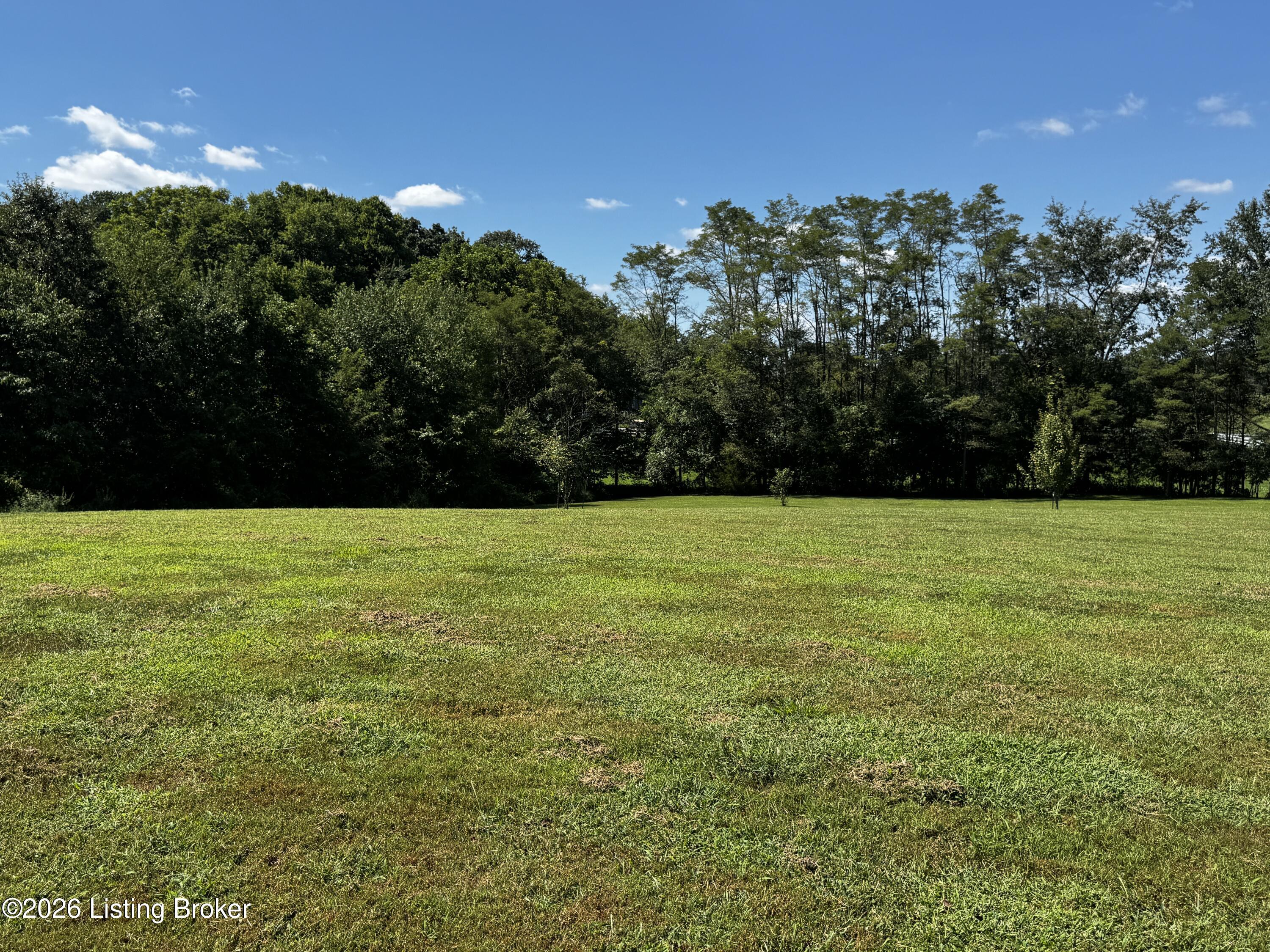 643 Molly Brown Road Brandenburg, KY 40108 - Photo 49 of 69 66