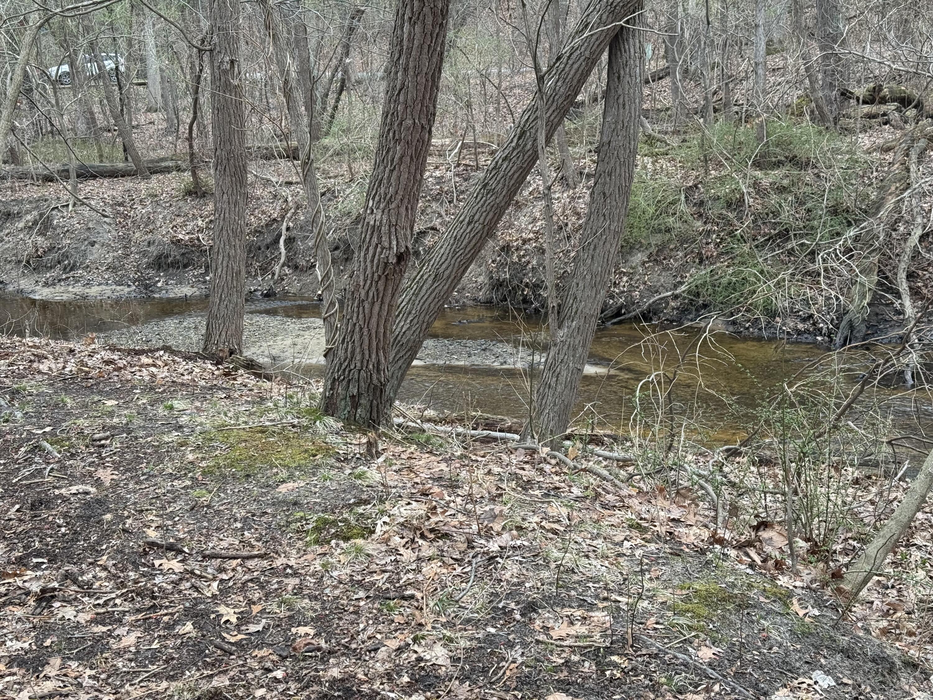 4202 Grand Bch Road Michiana, MI 49117 - Photo 7 of 20 Anest Creek with Island
