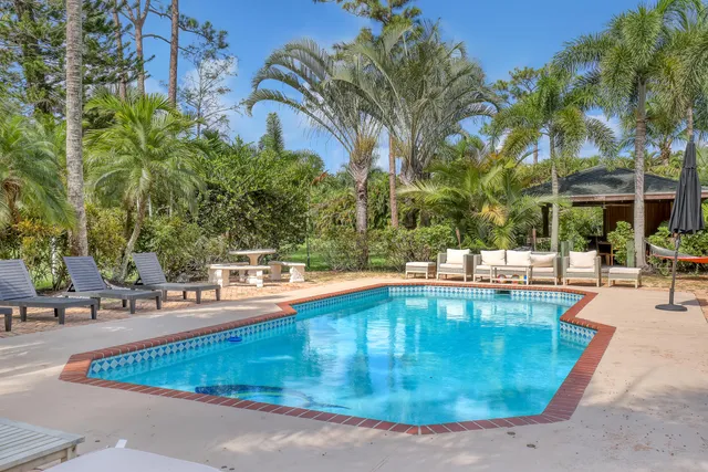a view of a patio with table and chairs barbeque potted plants and large tree