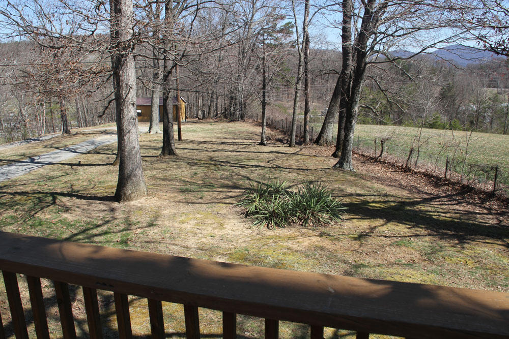 1084 Treasure Lane Blue Ridge, VA 24064 - Photo 11 of 37 a view of a yard with trees