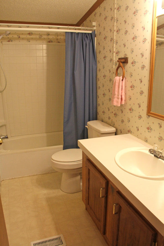 1084 Treasure Lane Blue Ridge, VA 24064 - Photo 24 of 37 a bathroom with a sink a toilet and shower
