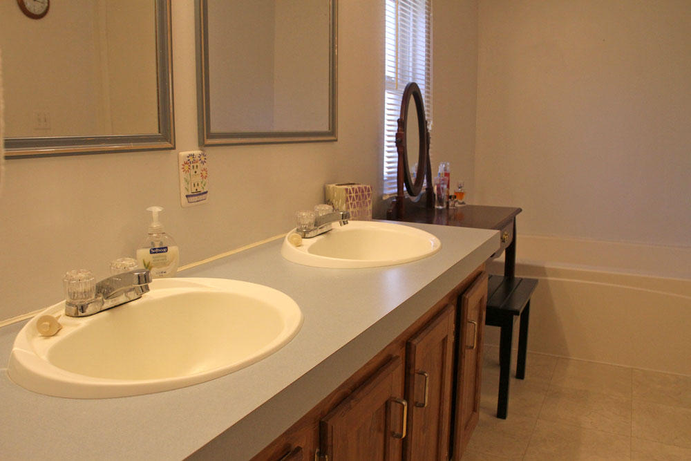 1084 Treasure Lane Blue Ridge, VA 24064 - Photo 29 of 37 a bathroom with a sink and a mirror