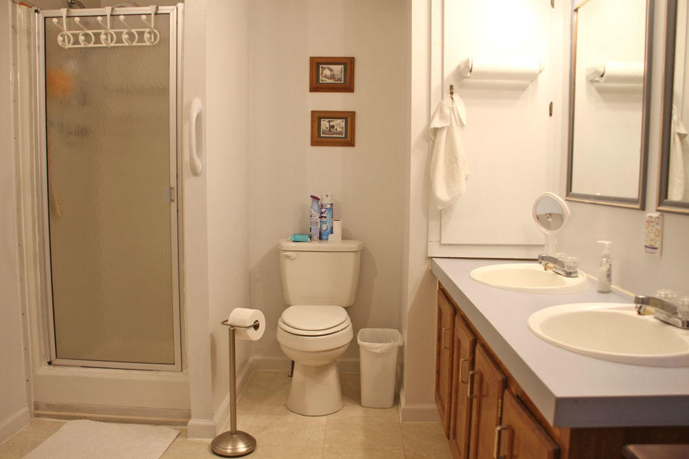 1084 Treasure Lane Blue Ridge, VA 24064 - Photo 5 of 37 a bathroom with a sink toilet and shower