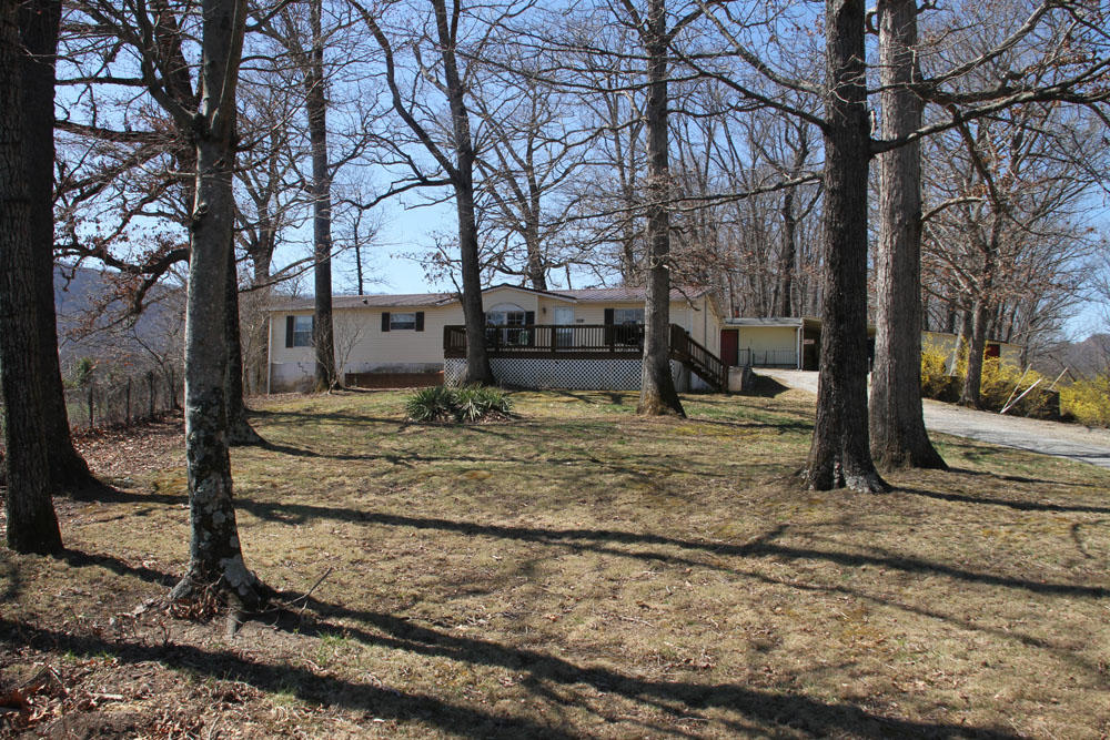1084 Treasure Lane Blue Ridge, VA 24064 - Photo 6 of 37 a view of a yard with a large tree