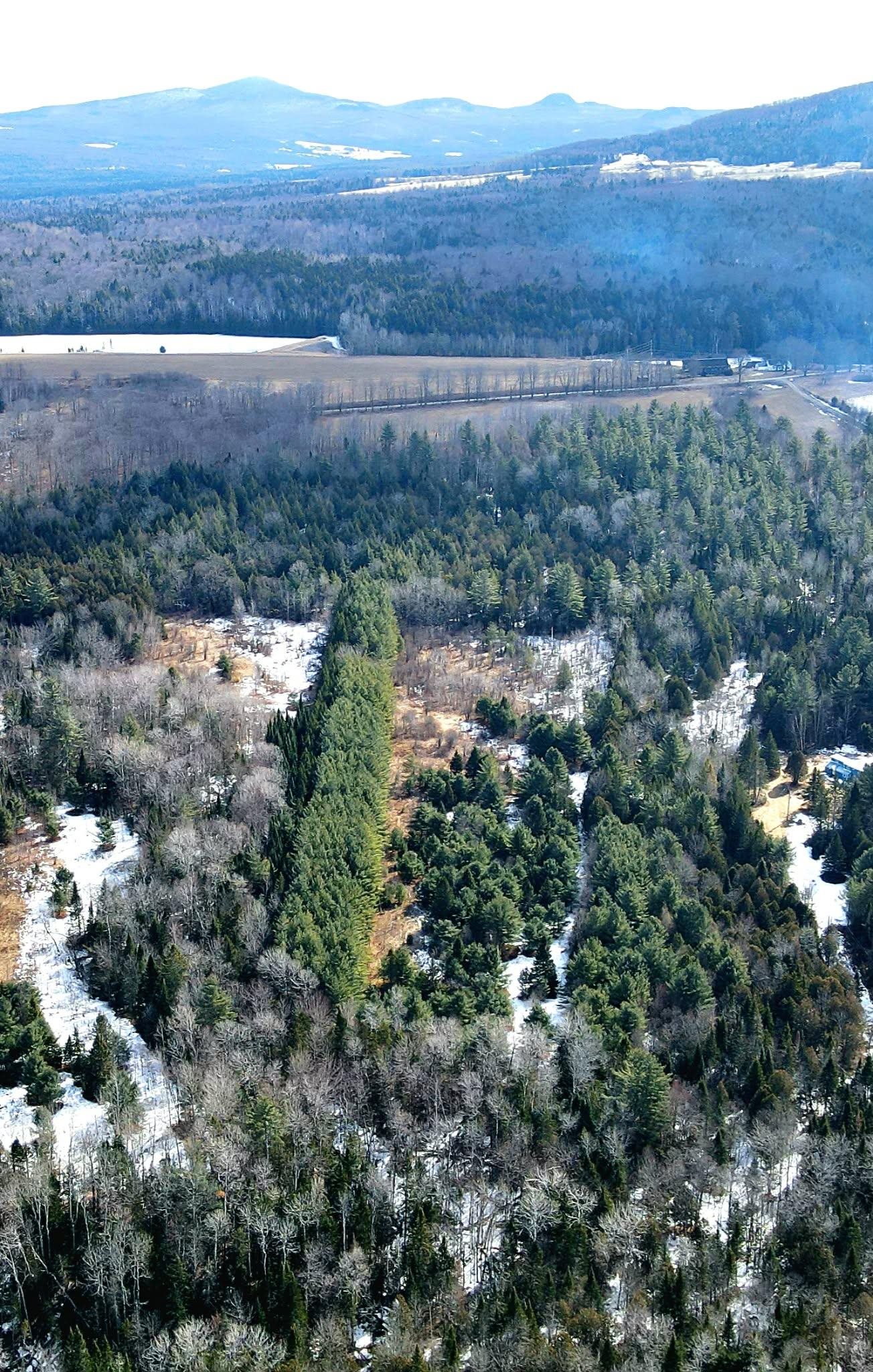 0 Hollow Road Barton, VT 05822 - Photo 1 of 33