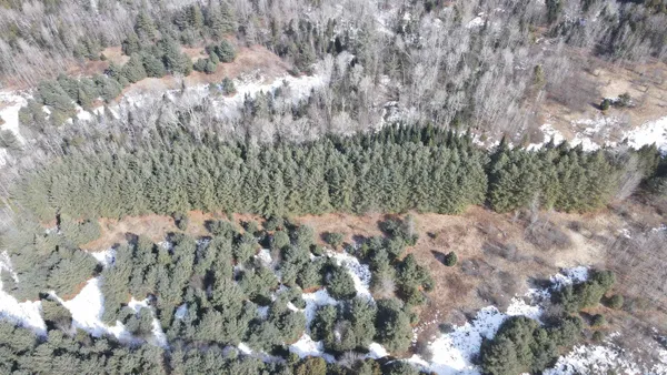 $80,000 | 0 Hollow Road, Barton, VT 05822