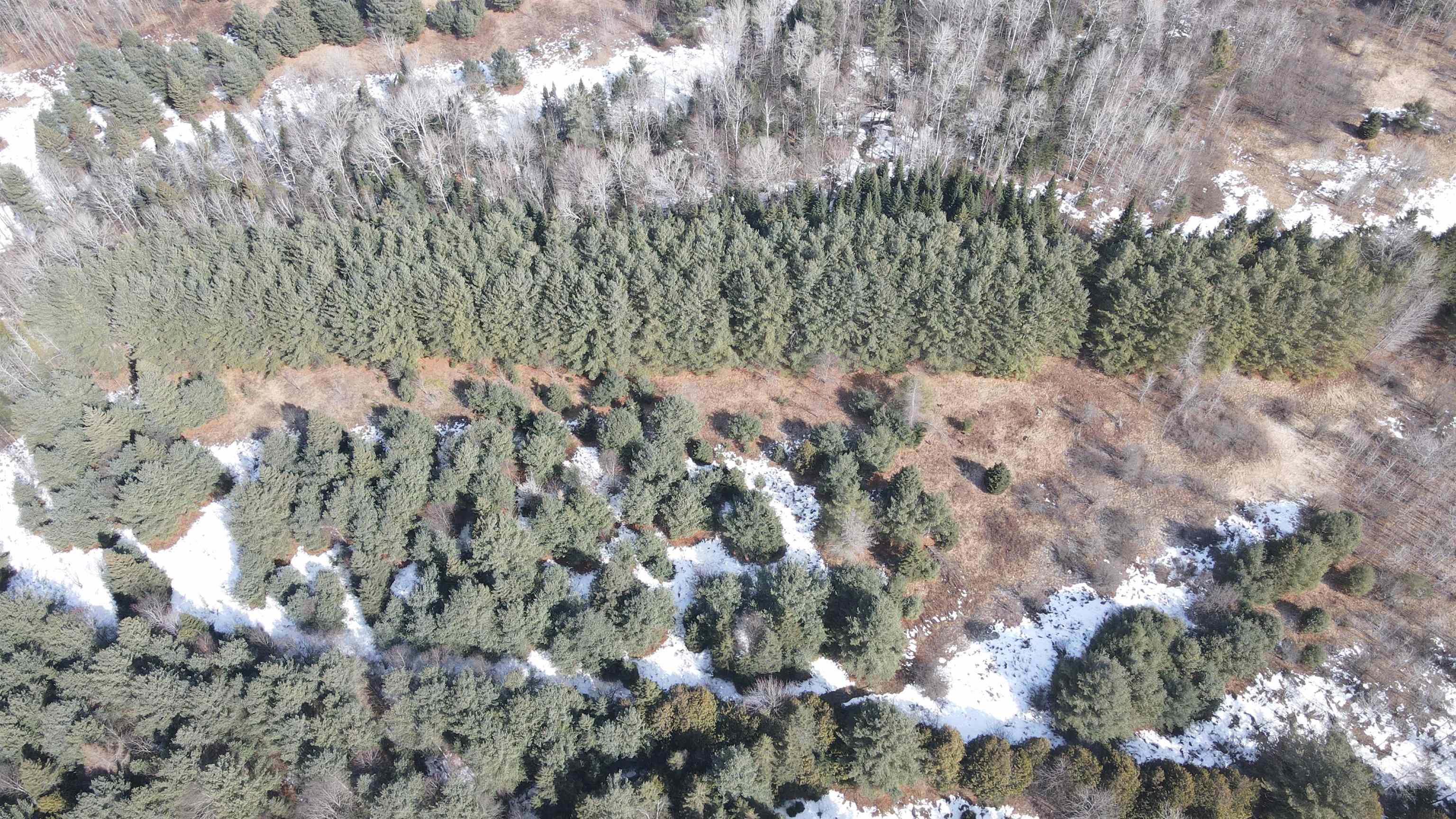 0 Hollow Road Barton, VT 05822 - Photo 17 of 33