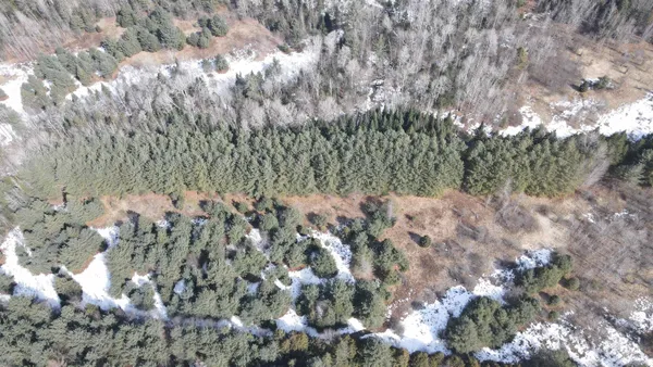 $80,000 | 0 Hollow Road, Barton, VT 05822