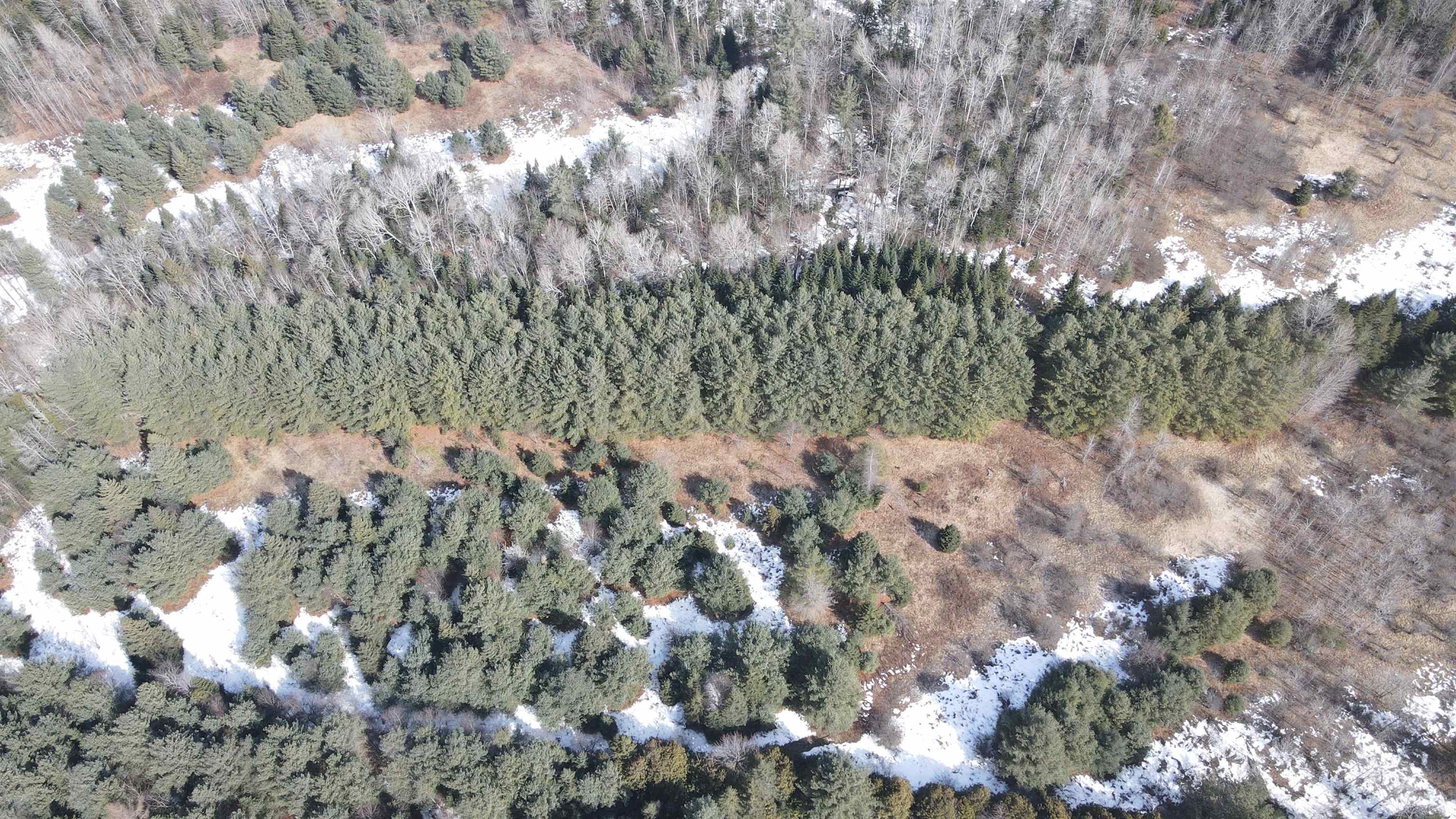 0 Hollow Road Barton, VT 05822 - Photo 18 of 33