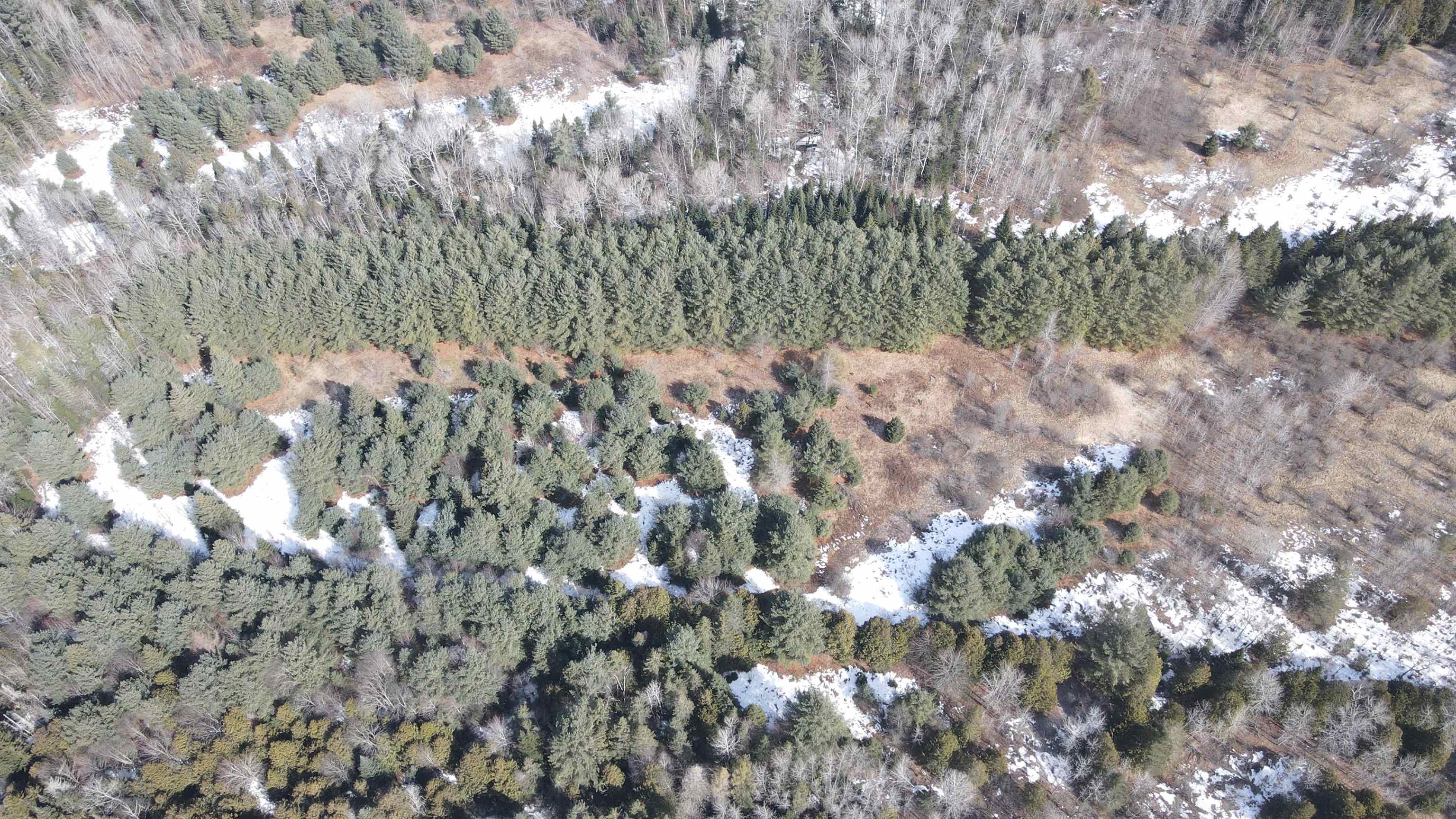 0 Hollow Road Barton, VT 05822 - Photo 19 of 33