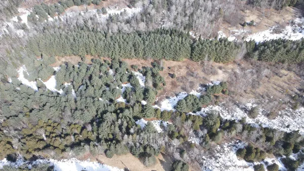 $80,000 | 0 Hollow Road, Barton, VT 05822