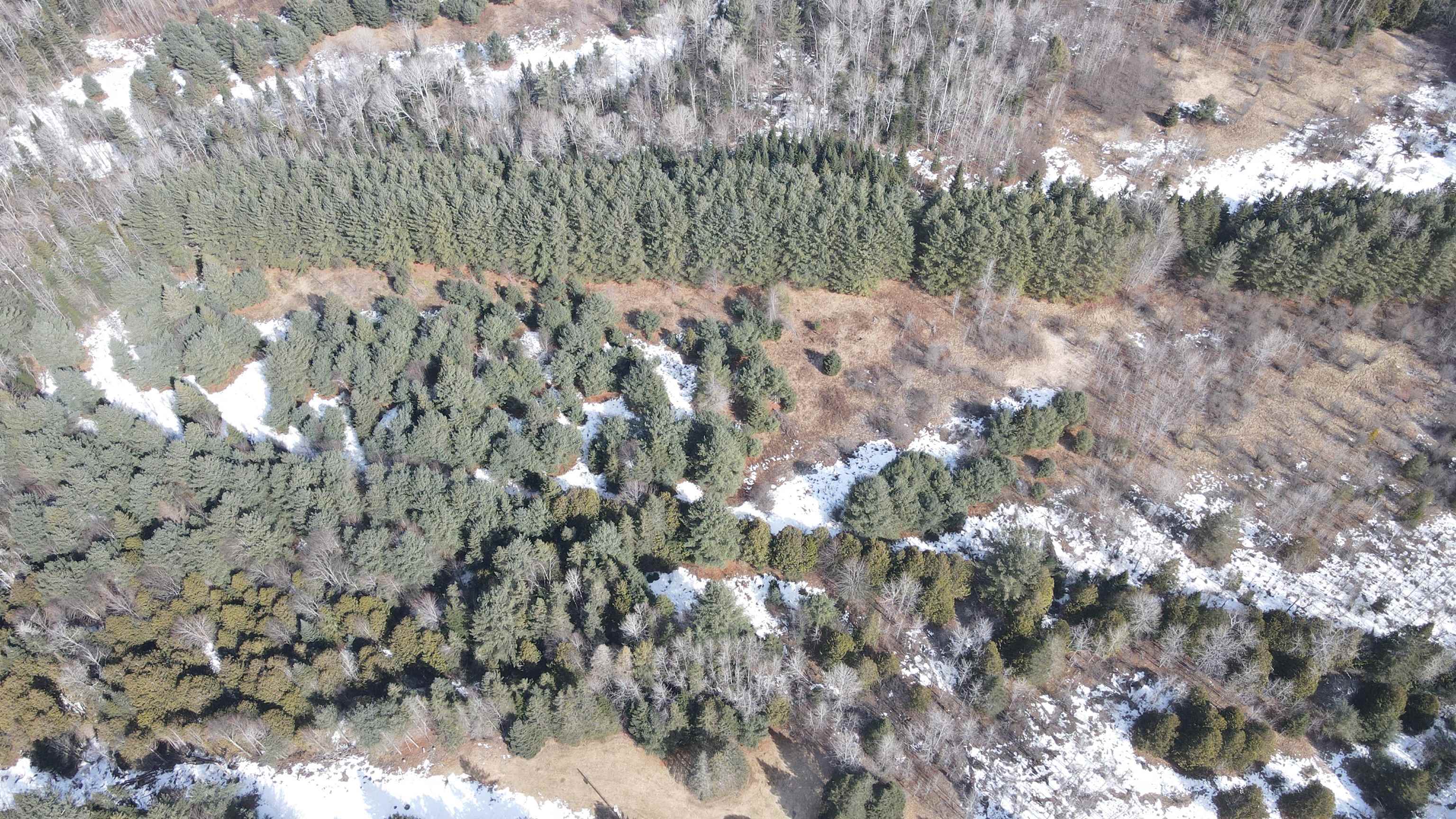 0 Hollow Road Barton, VT 05822 - Photo 20 of 33