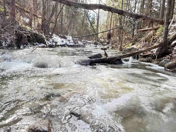 $80,000 | 0 Hollow Road, Barton, VT 05822