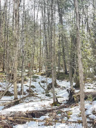 $80,000 | 0 Hollow Road, Barton, VT 05822