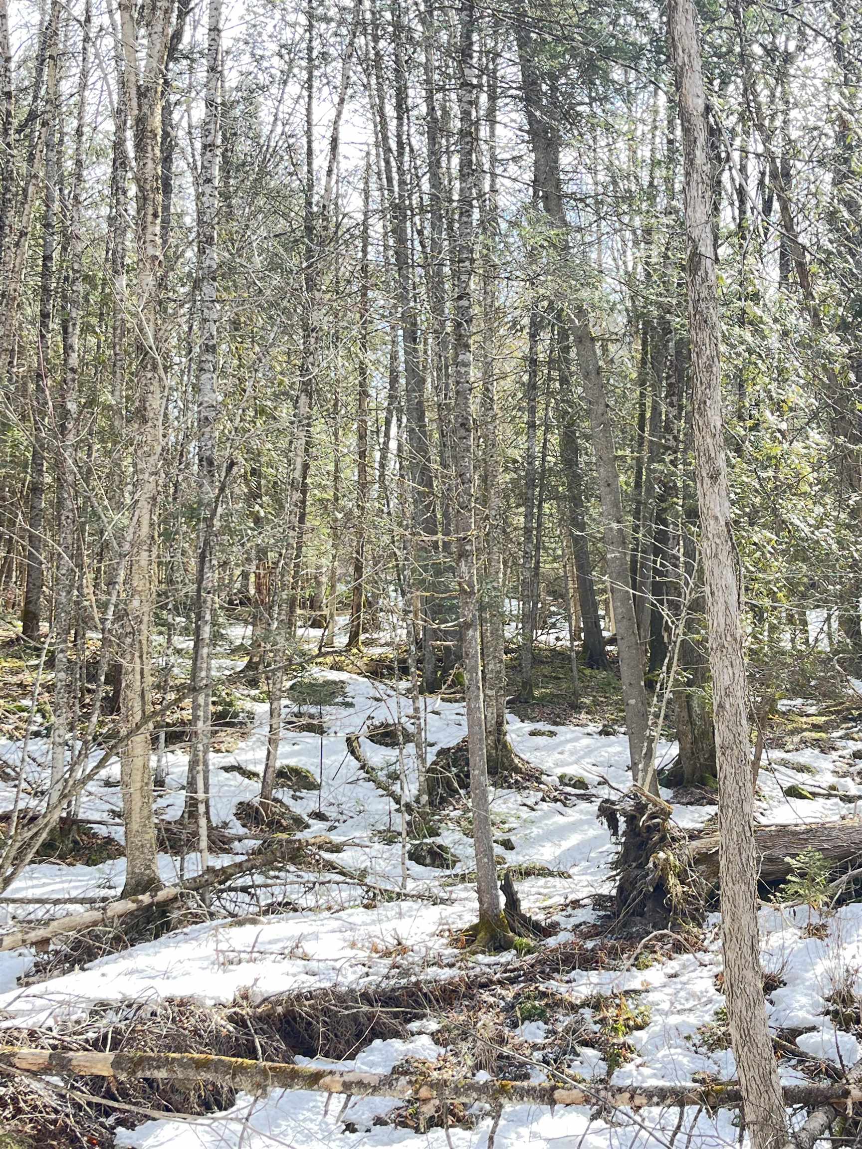 0 Hollow Road Barton, VT 05822 - Photo 4 of 33