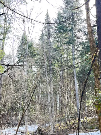 $80,000 | 0 Hollow Road, Barton, VT 05822