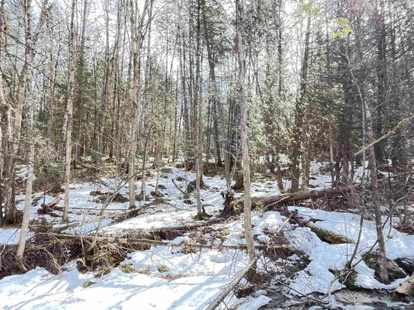 $80,000 | 0 Hollow Road, Barton, VT 05822
