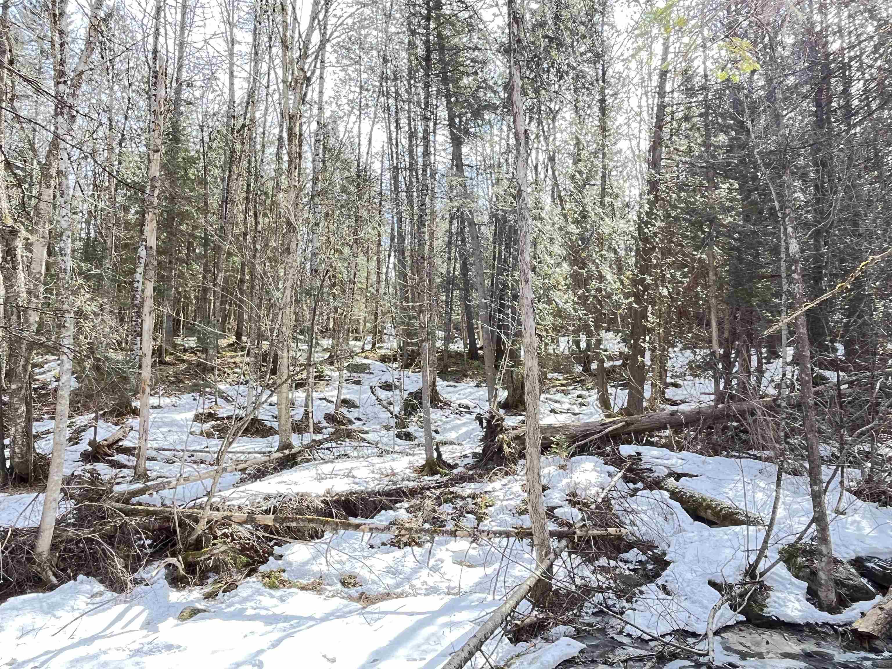 0 Hollow Road Barton, VT 05822 - Photo 6 of 33