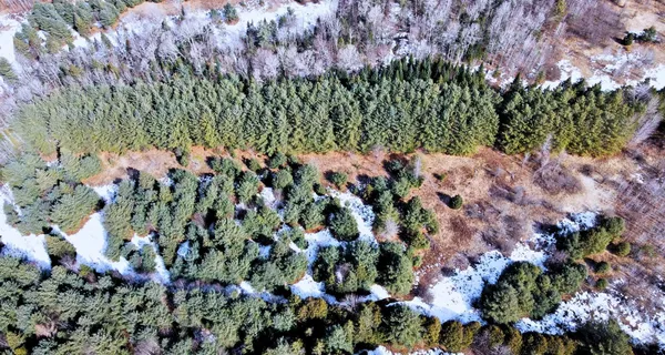 $80,000 | 0 Hollow Road, Barton, VT 05822