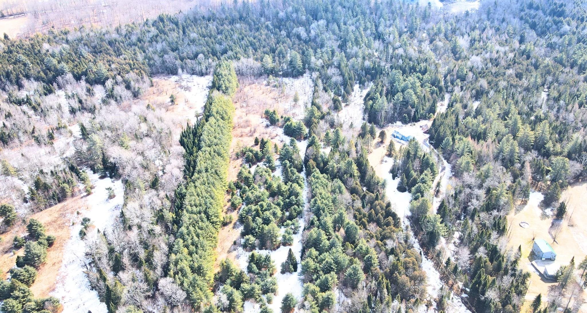 0 Hollow Road Barton, VT 05822 - Photo 8 of 33