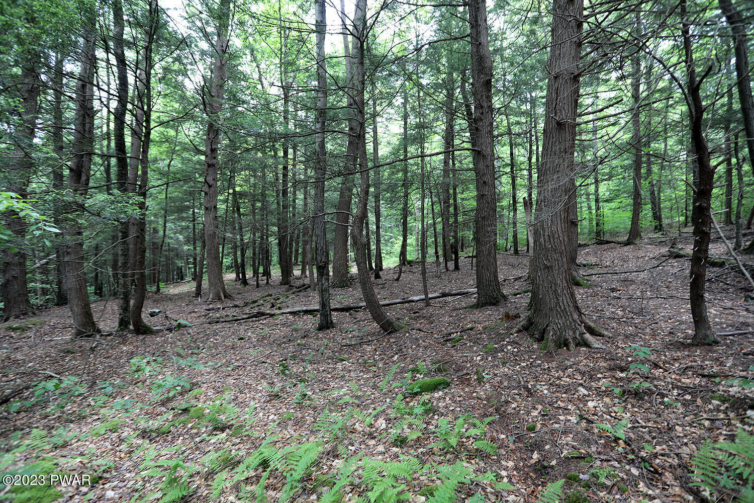 Lot D Spry Road Honesdale, PA 18431 - Photo 21 of 26
