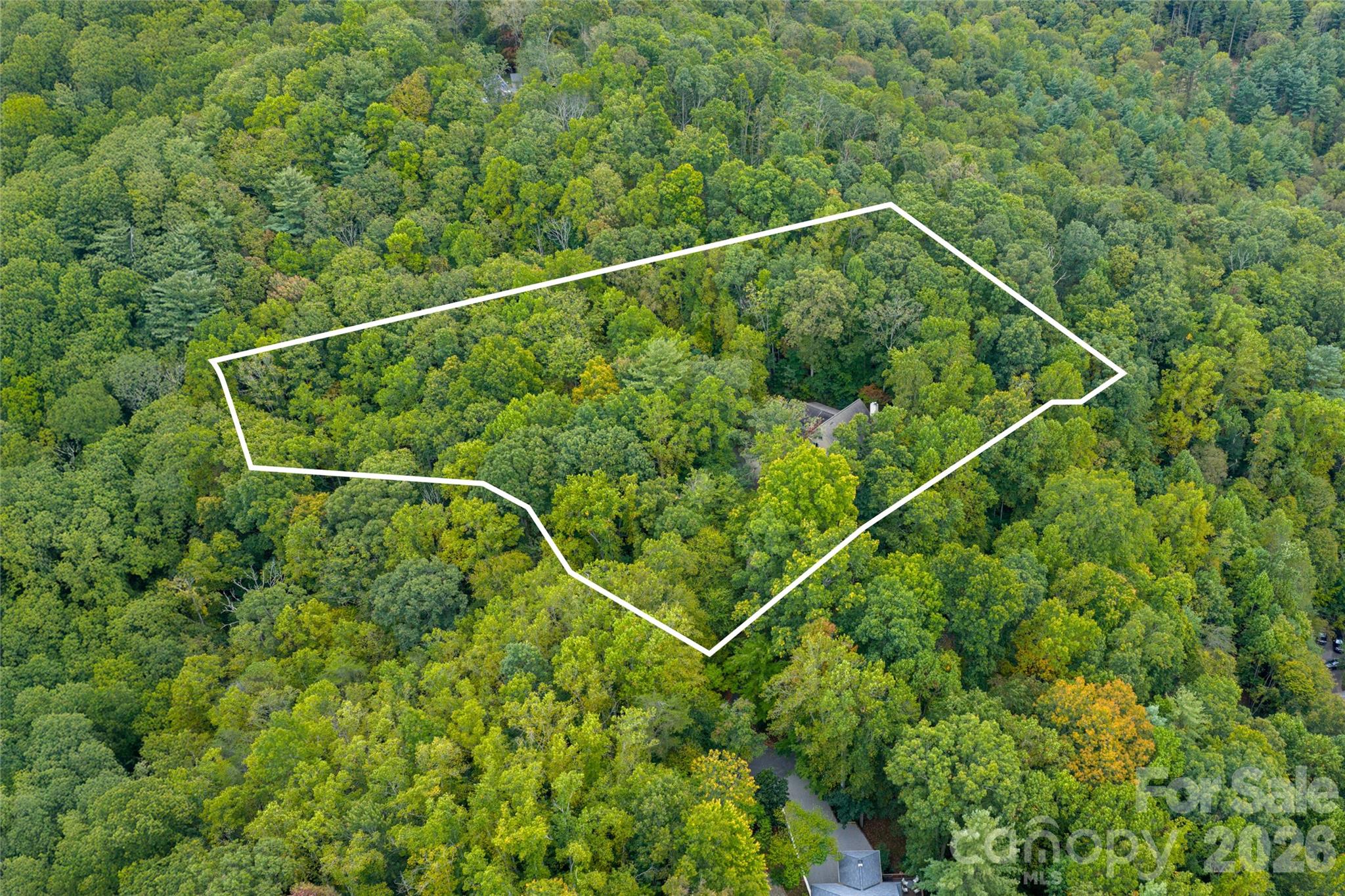 116 Hawk Ridge Asheville, NC 28804 - Photo 26 of 27