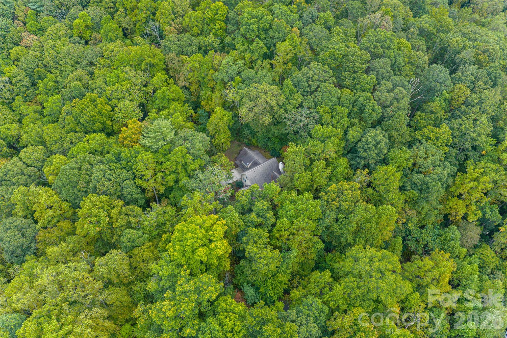 116 Hawk Ridge Asheville, NC 28804 - Photo 27 of 27