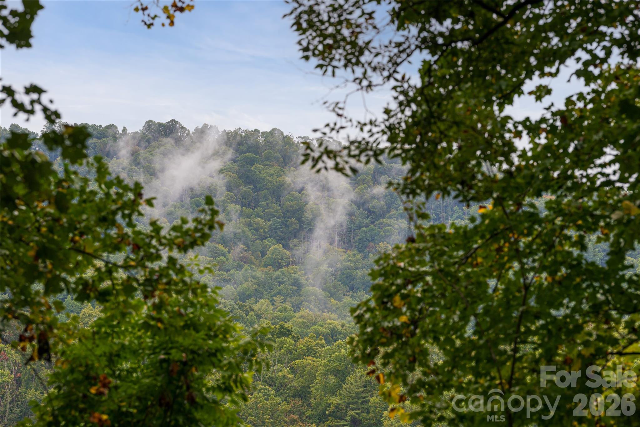 116 Hawk Ridge Asheville, NC 28804 - Photo 4 of 27