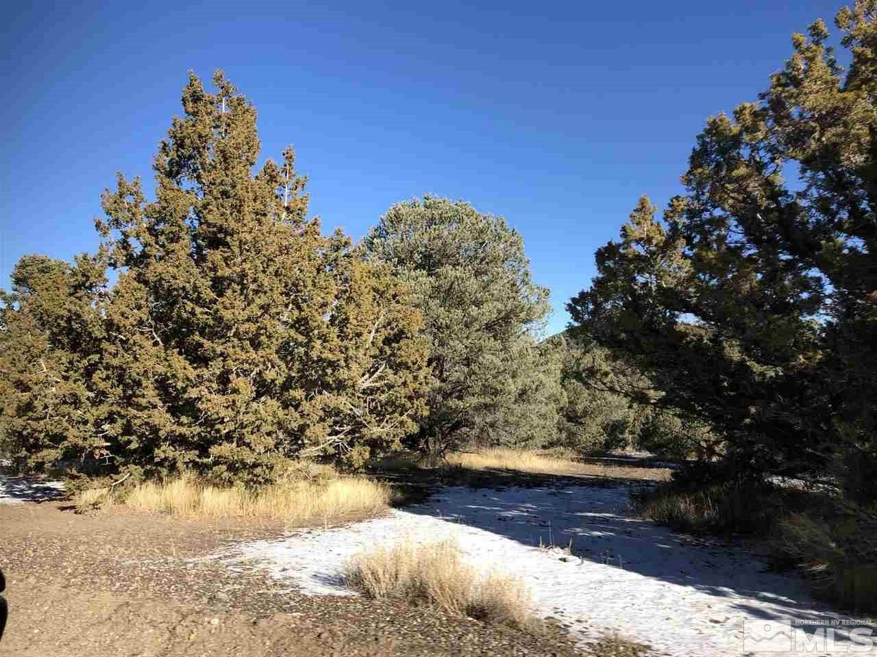 0 Western Skies Drive, Unit 357 Reno, NV 89521 - Photo 1 of 1 Photo 1