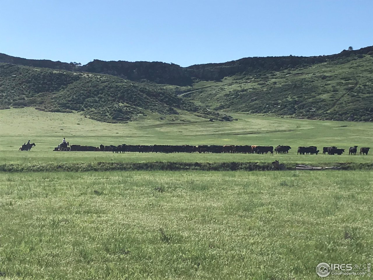 Undisclosed Address Laporte, CO 80535 - Photo 2 of 9 Moving Cattle on West Side