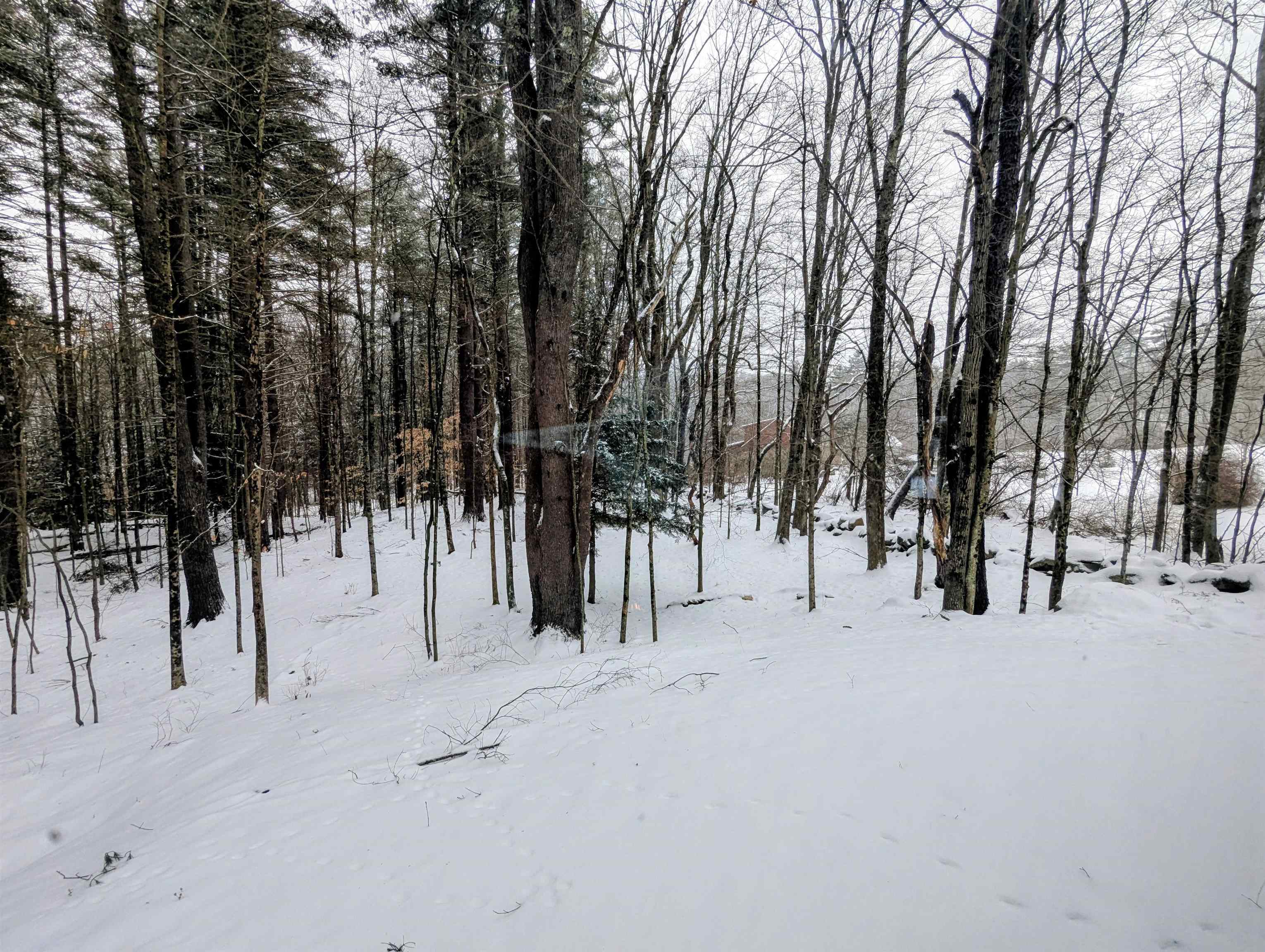 66 Old Jaffrey Road Peterborough, NH 03458 - Photo 12 of 42