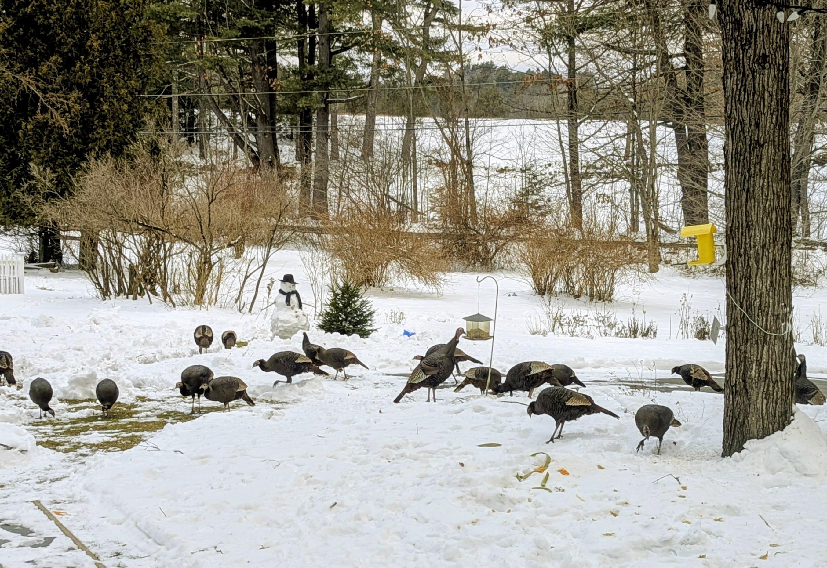 66 Old Jaffrey Road Peterborough, NH 03458 - Photo 13 of 42