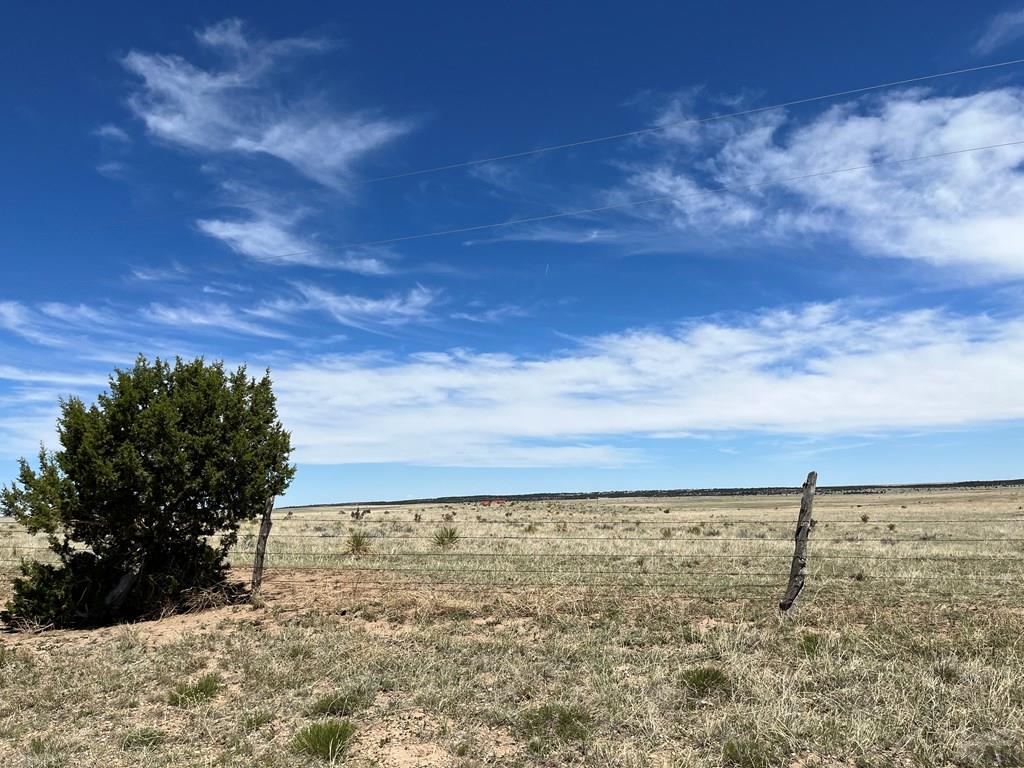 122 Turkey Ridge Ranch Walsenburg, CO 81089 - Photo 23 of 25