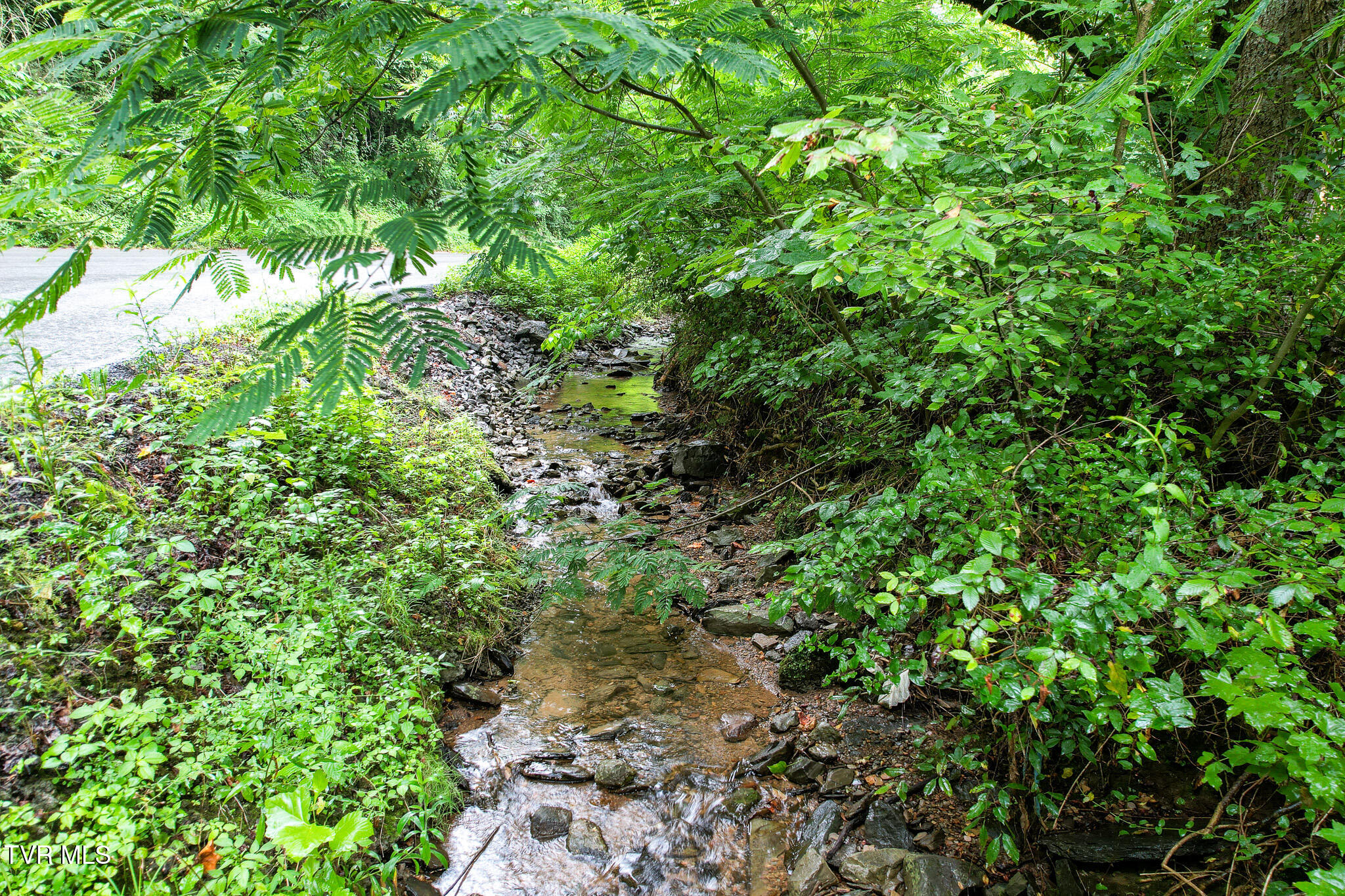 540 King Branch Road Sevierville, TN 37876 - Photo 7 of 61 DJI_0628