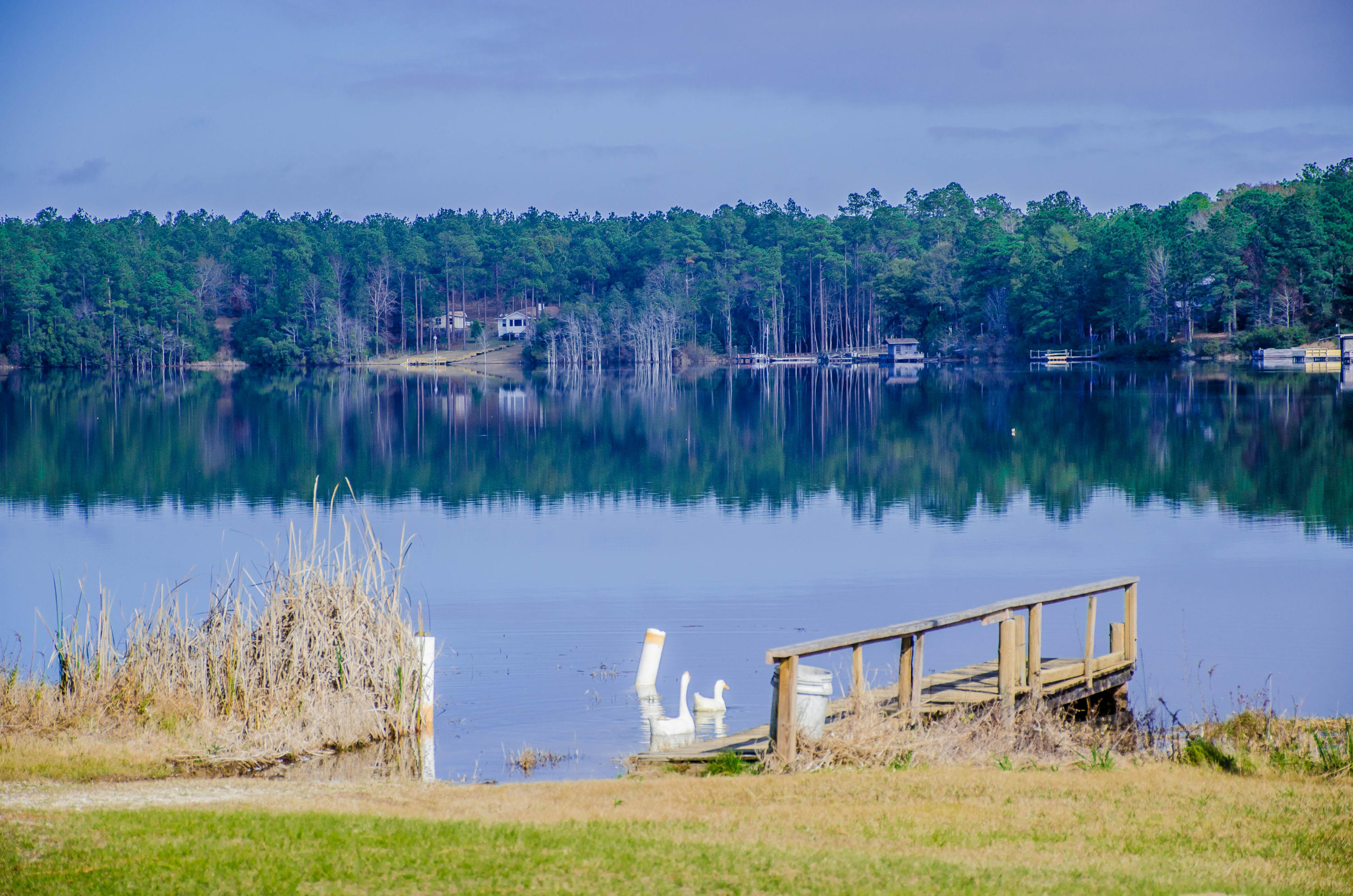 362 Spring Lake Road DeFuniak Springs, FL 32433 - Photo 43 of 54 Gallery Image 43