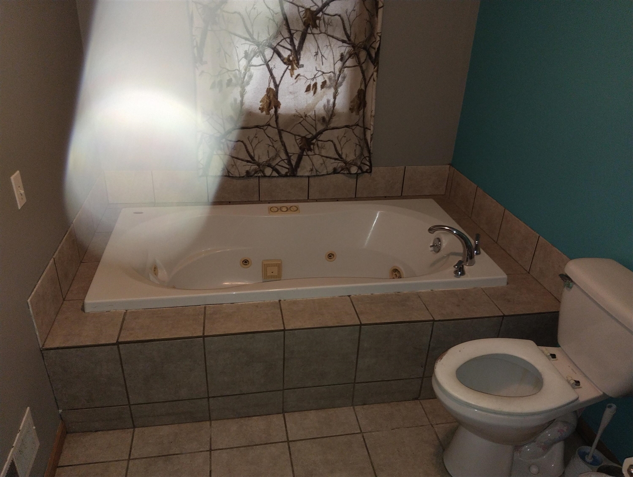5914 East Buchanan Road Hesperia, MI 49421 - Photo 12 of 13