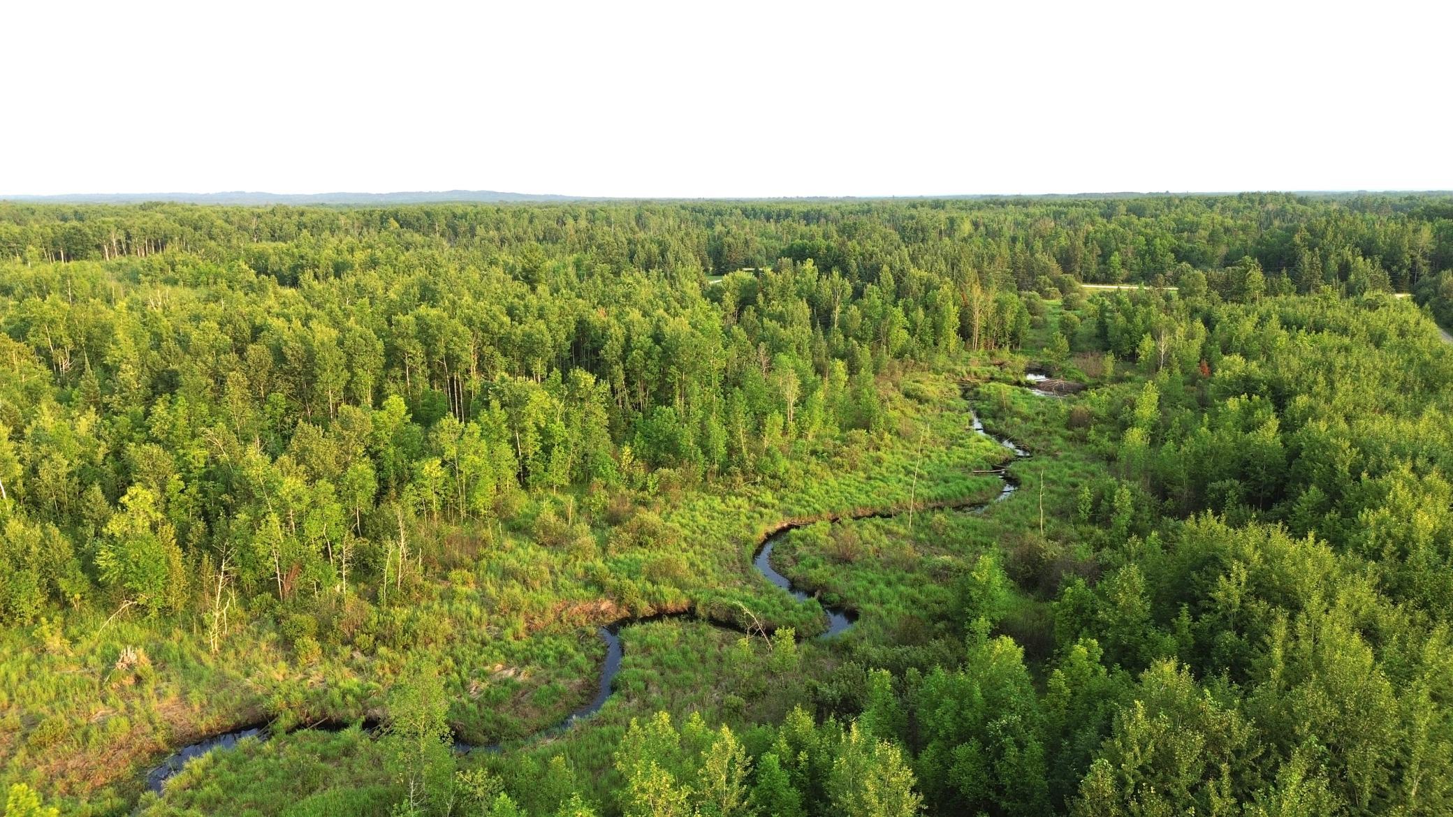 36466 Juniper Road Deer River, MN 56636 - Photo 15 of 16 Gallery Image 15