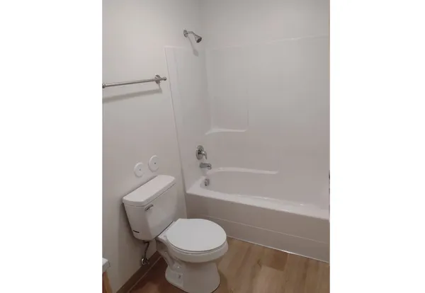 a bathroom with a toilet and a bathtub