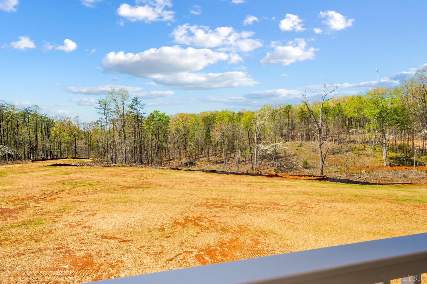 11250 Leesville Road Evington, VA 24550 - Photo 53 of 62