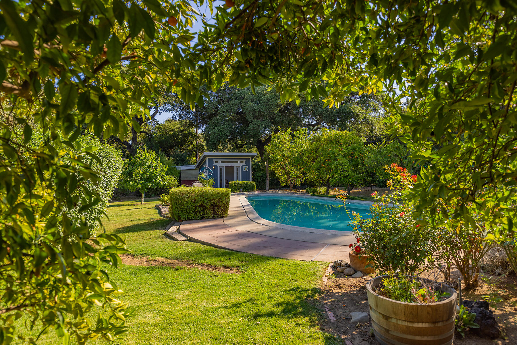 217 Sierra Road Ojai, CA 93023 - Photo 17 of 50 a garden view with a seating space