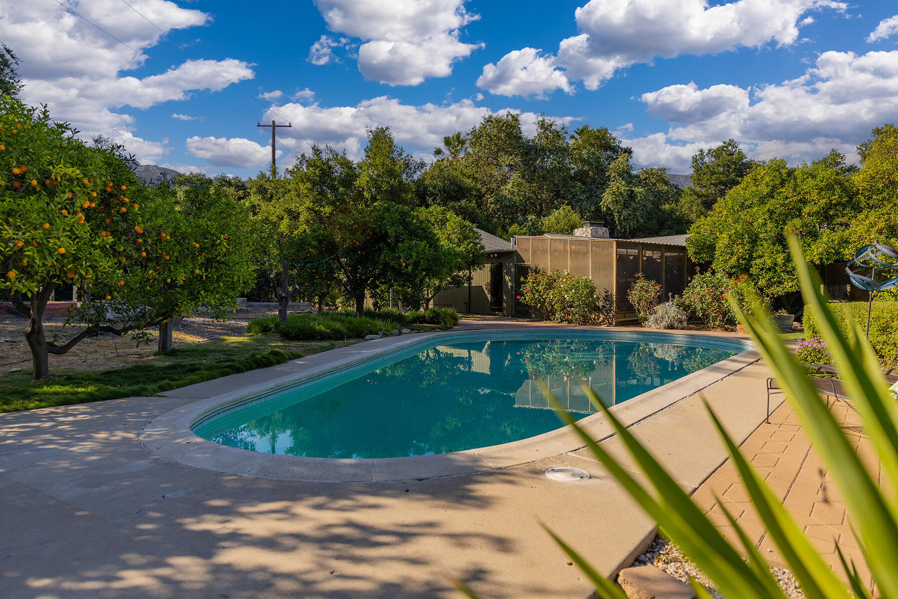 217 Sierra Road Ojai, CA 93023 - Photo 42 of 50 a view of a swimming pool with a yard