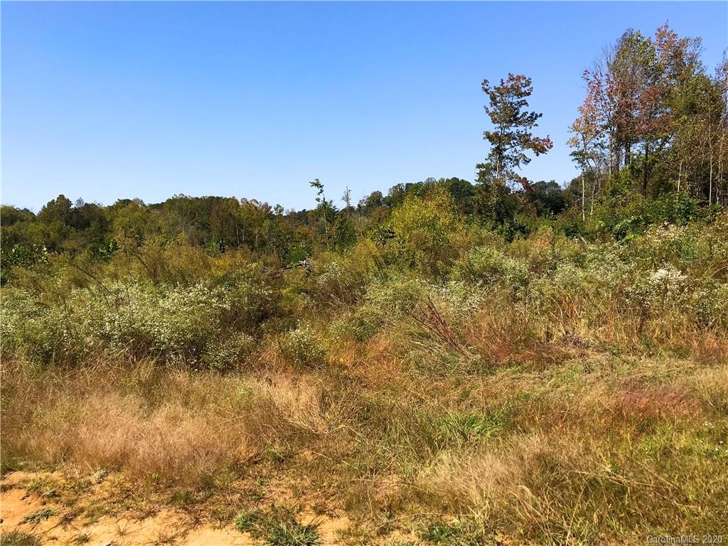 0 Foster Road, Unit 2 Cleveland, NC 27013 - Photo 2 of 6 a view of a mountain