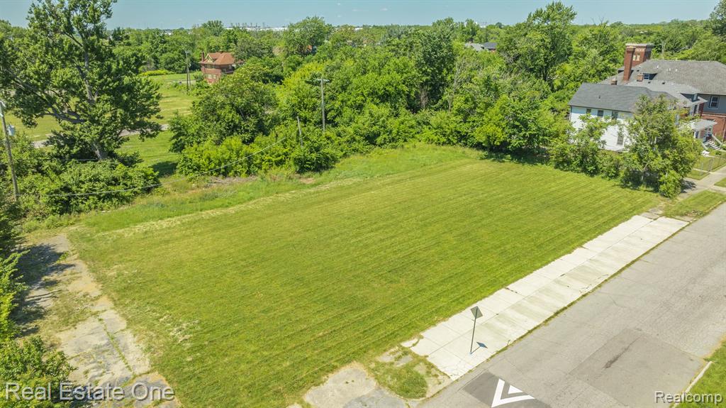 1075 Coplin Street Detroit, MI 48215 - Photo 4 of 14