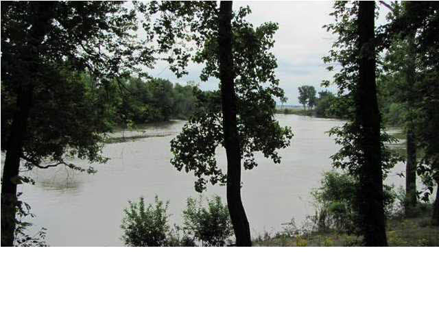 50 Onton Road Slaughters, KY 42456 - Photo 9 of 11 Gallery Image 9