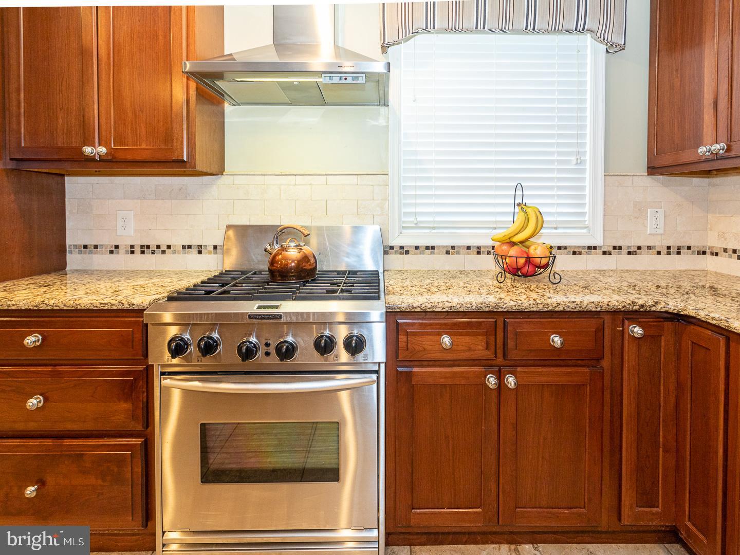 424 Bluebuff Road King of Prussia, PA 19406 - Photo 12 of 53 Stainless Steel 4-Burner Gas Range & Vent Hood