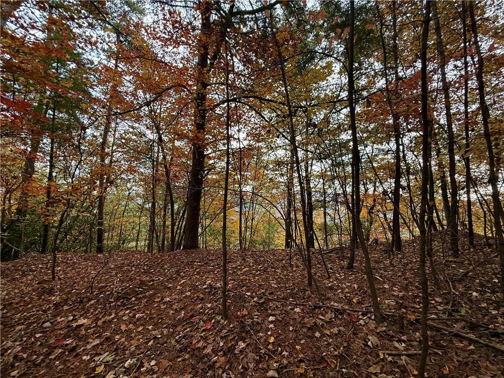 526 Fedorak Court Ranger, GA 30734 - Photo 11 of 11 a view of outdoor space
