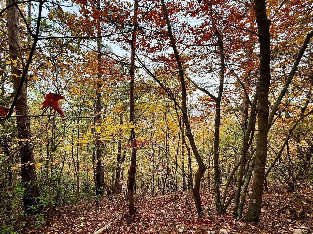 526 Fedorak Court Ranger, GA 30734 - Photo 5 of 11 a view of yard